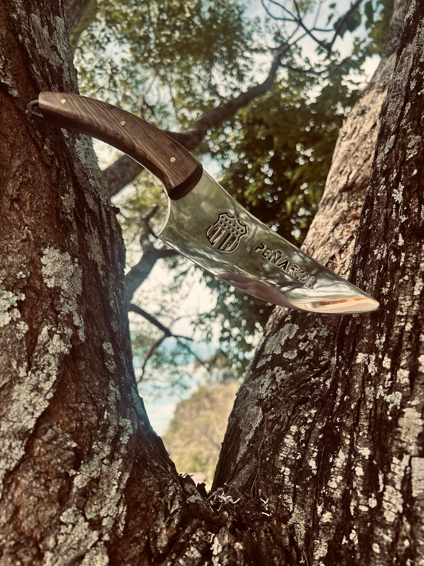 Coreadera Peñarol M/Chato