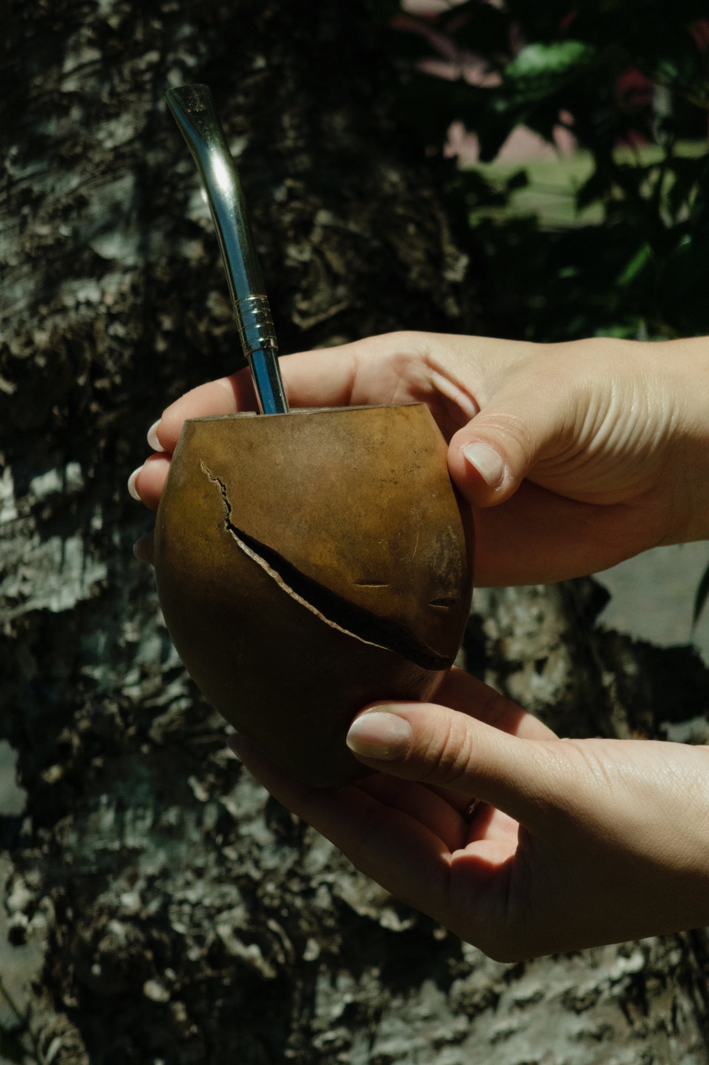 Mate Calabaza Rustico