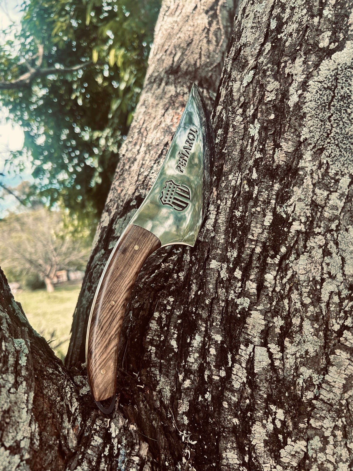 Coreadera Peñarol M/Chato