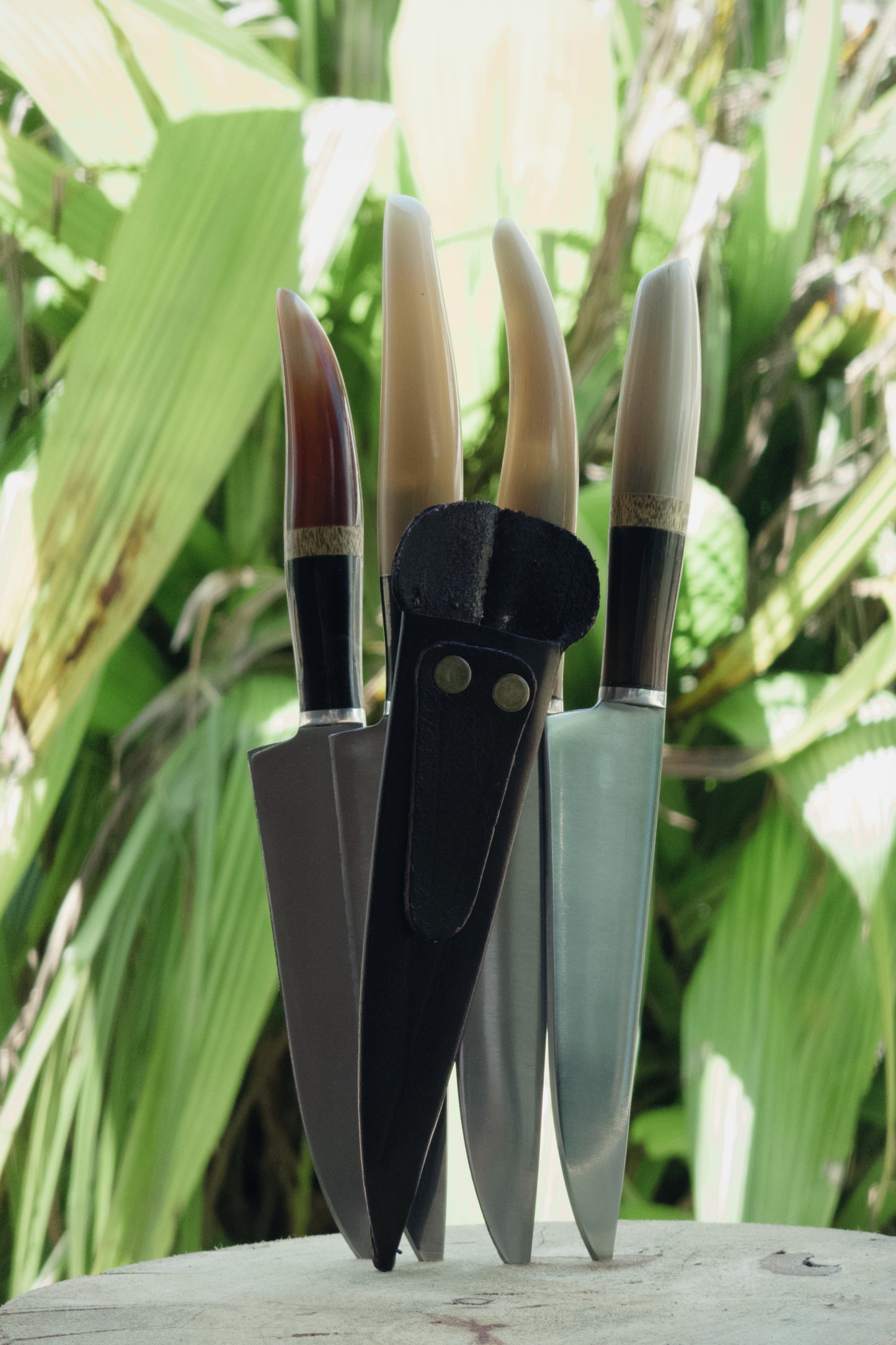 Verijero de Bolsillo