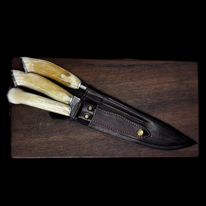 Trio Criollo Herradura