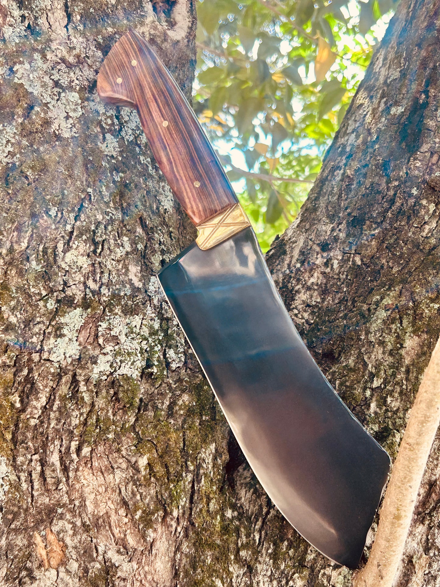 Machado chinês fosfatizado