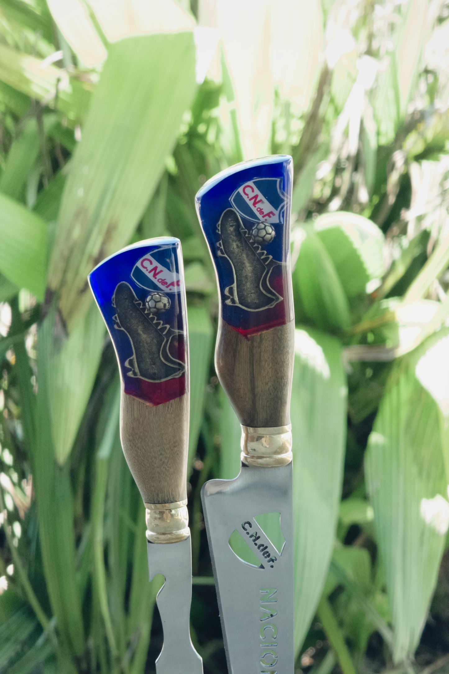 Conjunto Verijero Nacional