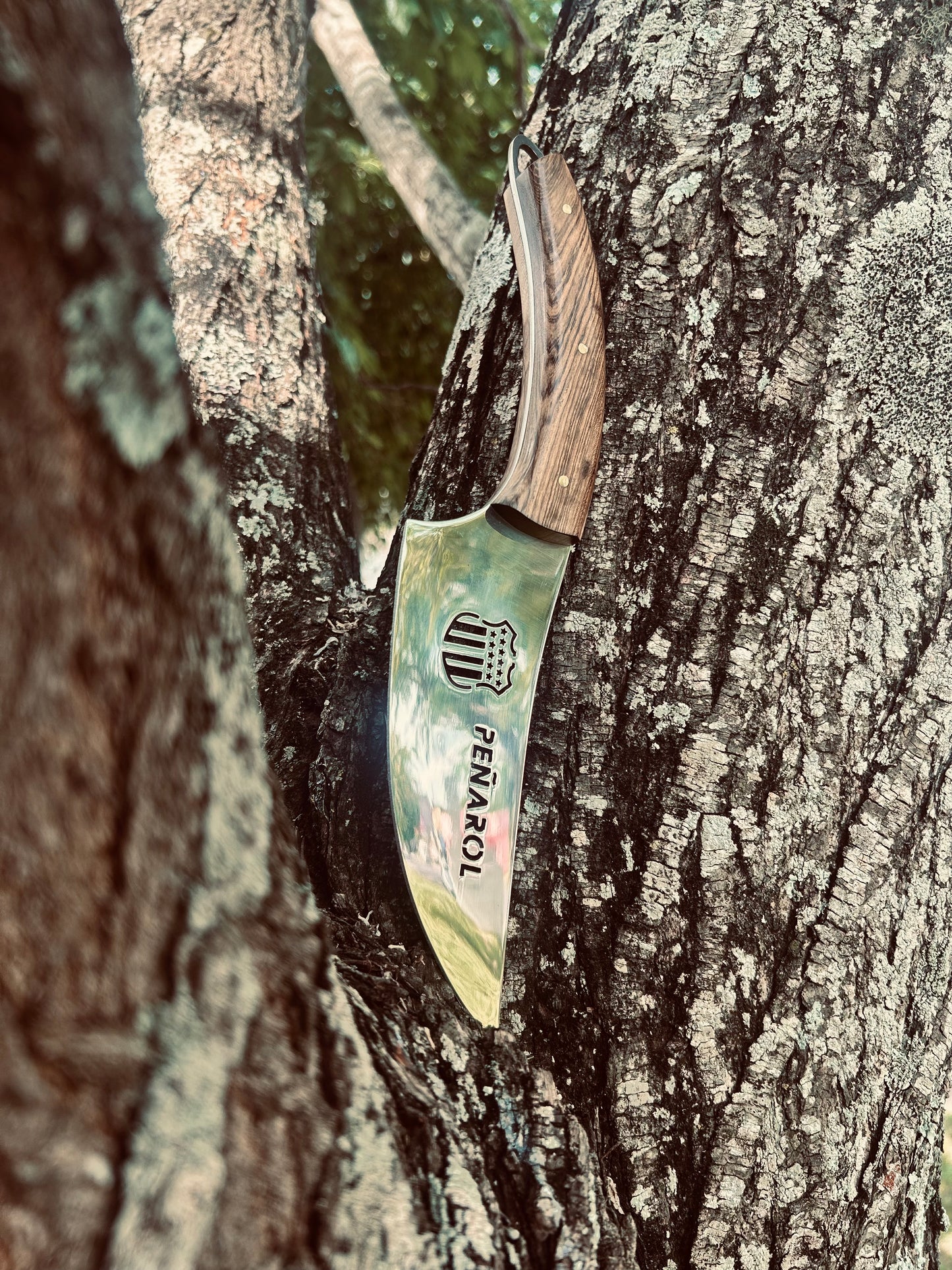 Coreadera Peñarol M/Chato