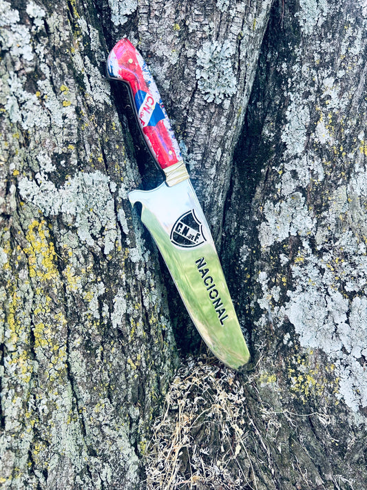 Picañera Nacional M/Chato