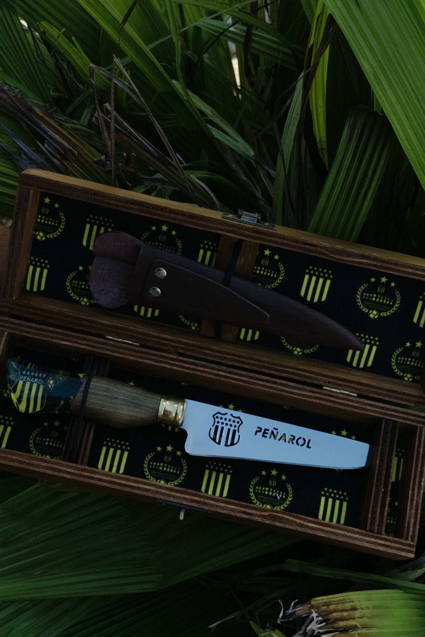 Cuchillo Peñarol con Caja