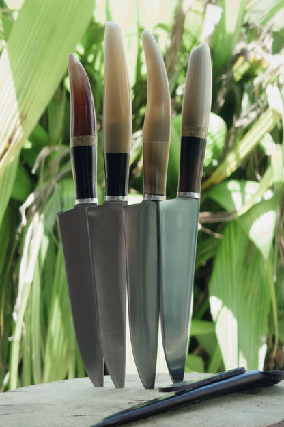 Verijero de Bolsillo