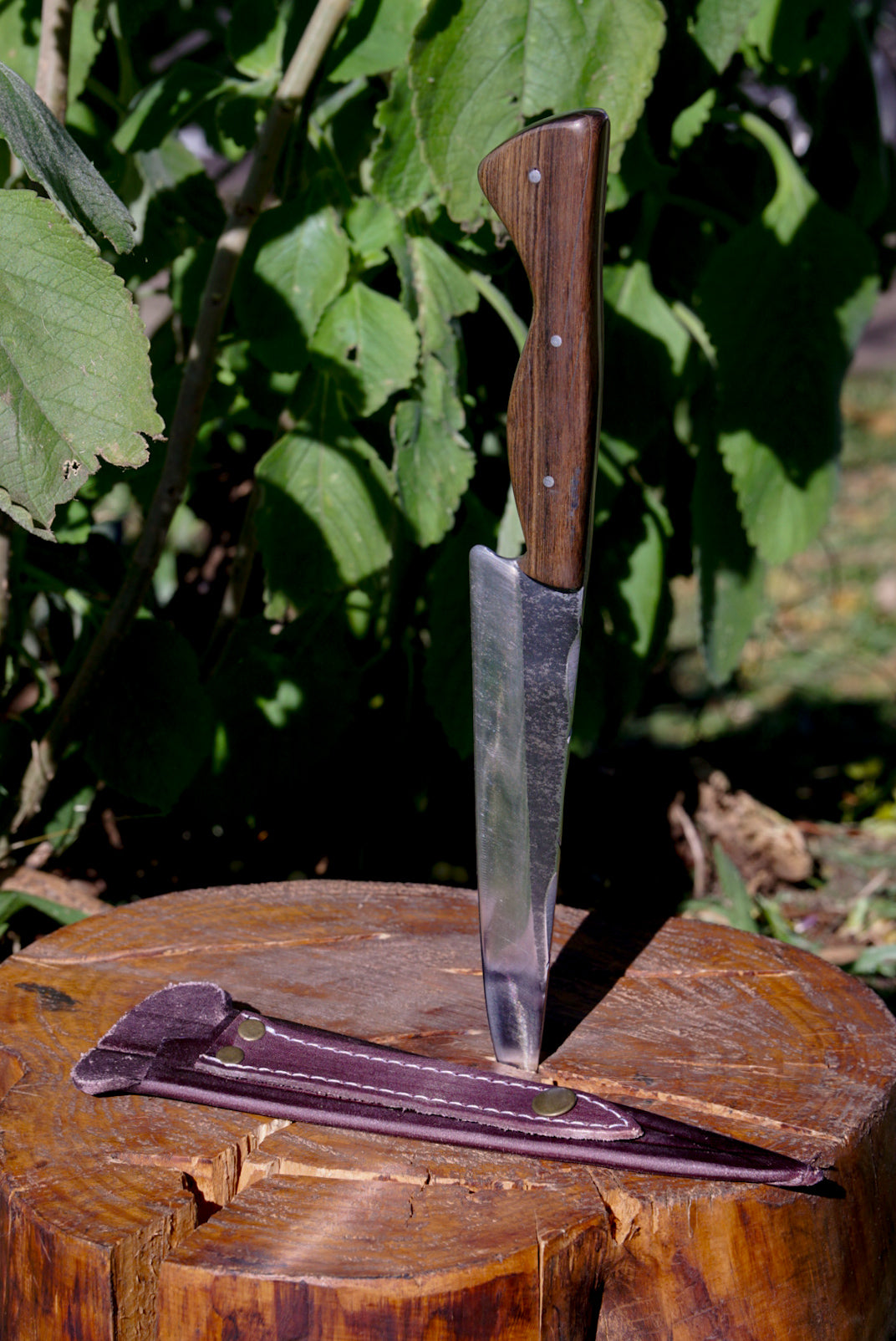 Madeira Premium Full Tang