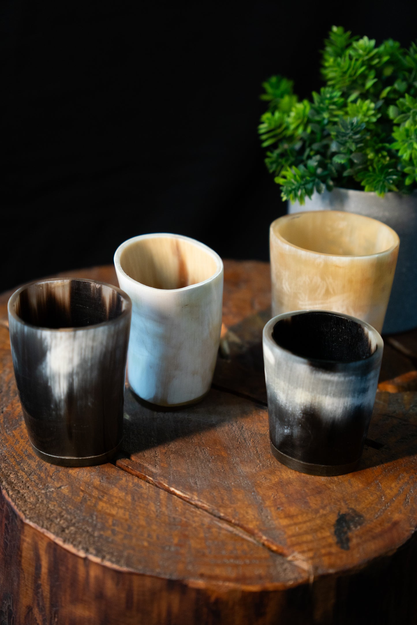 Vasos en Guampa