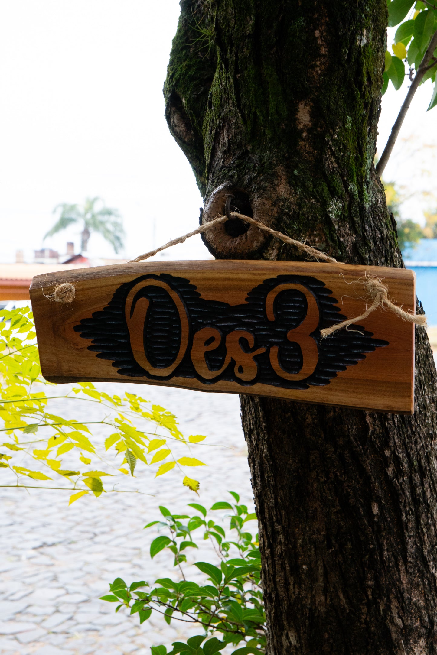 Carteles para Barbacoa
