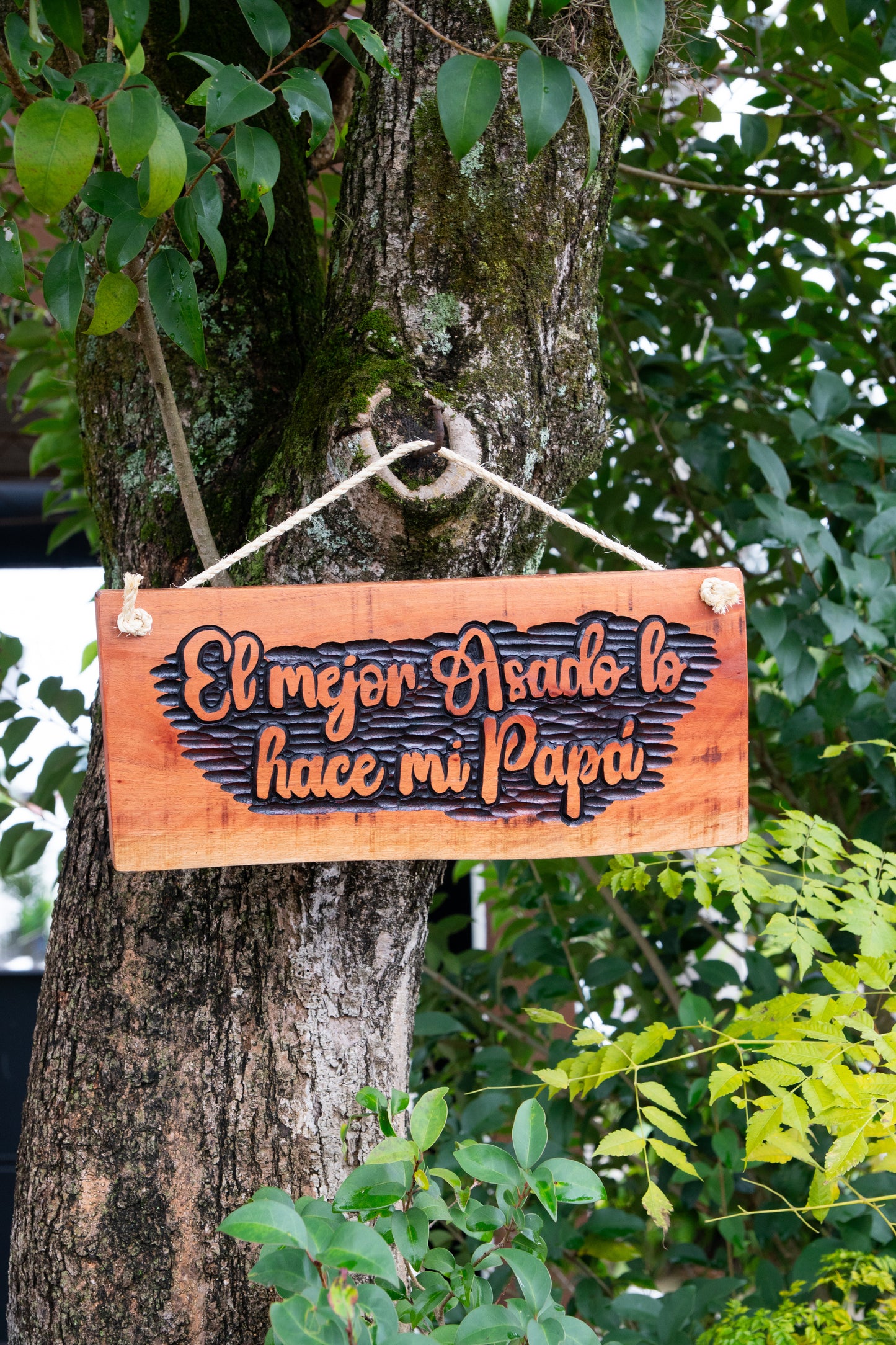 Carteles para Barbacoa