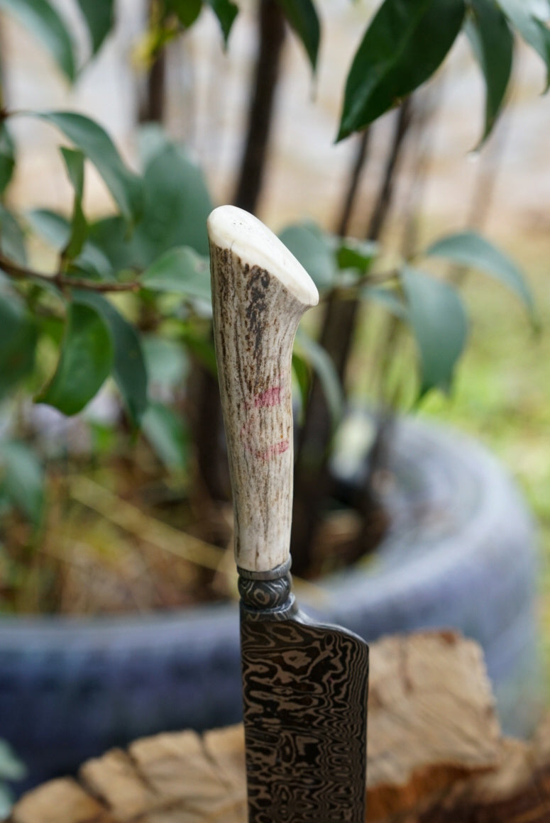 Cuchillo Damasco #12