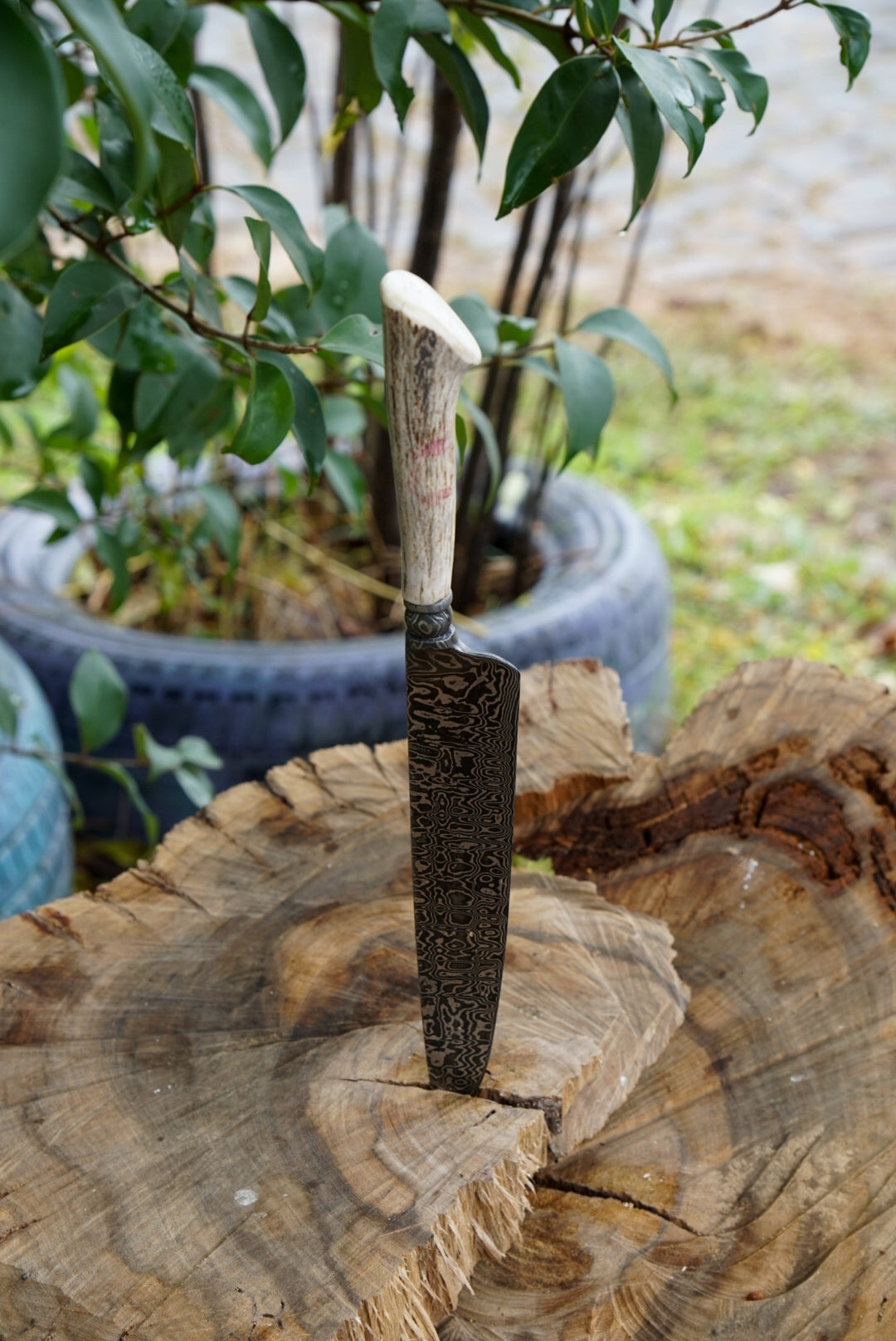 Cuchillo Damasco #12