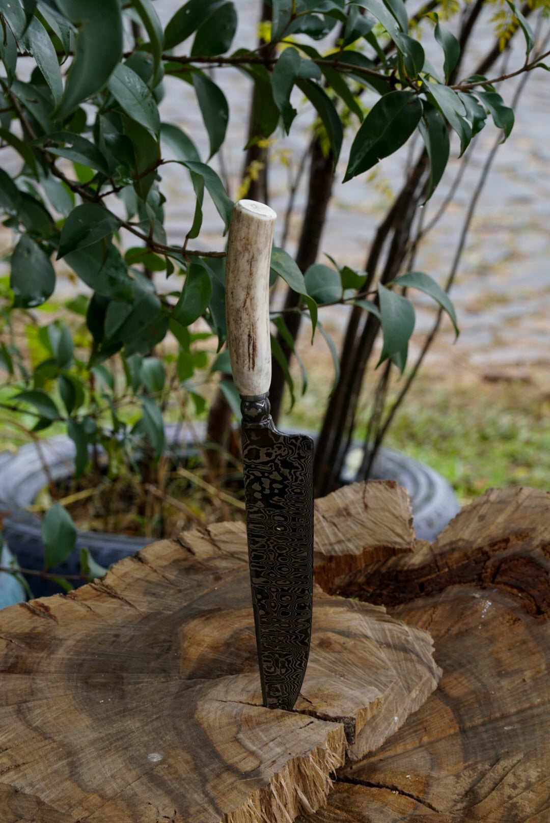 Cuchillo Damasco #15