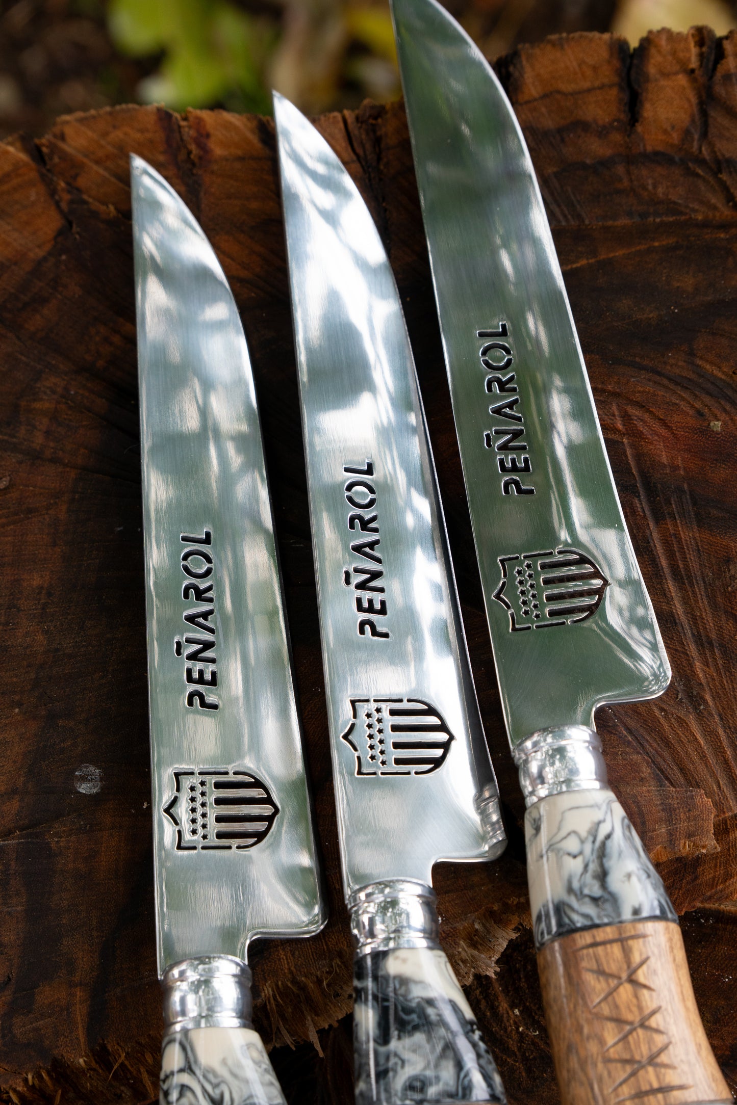 Criollo Peñarol Hibrido
