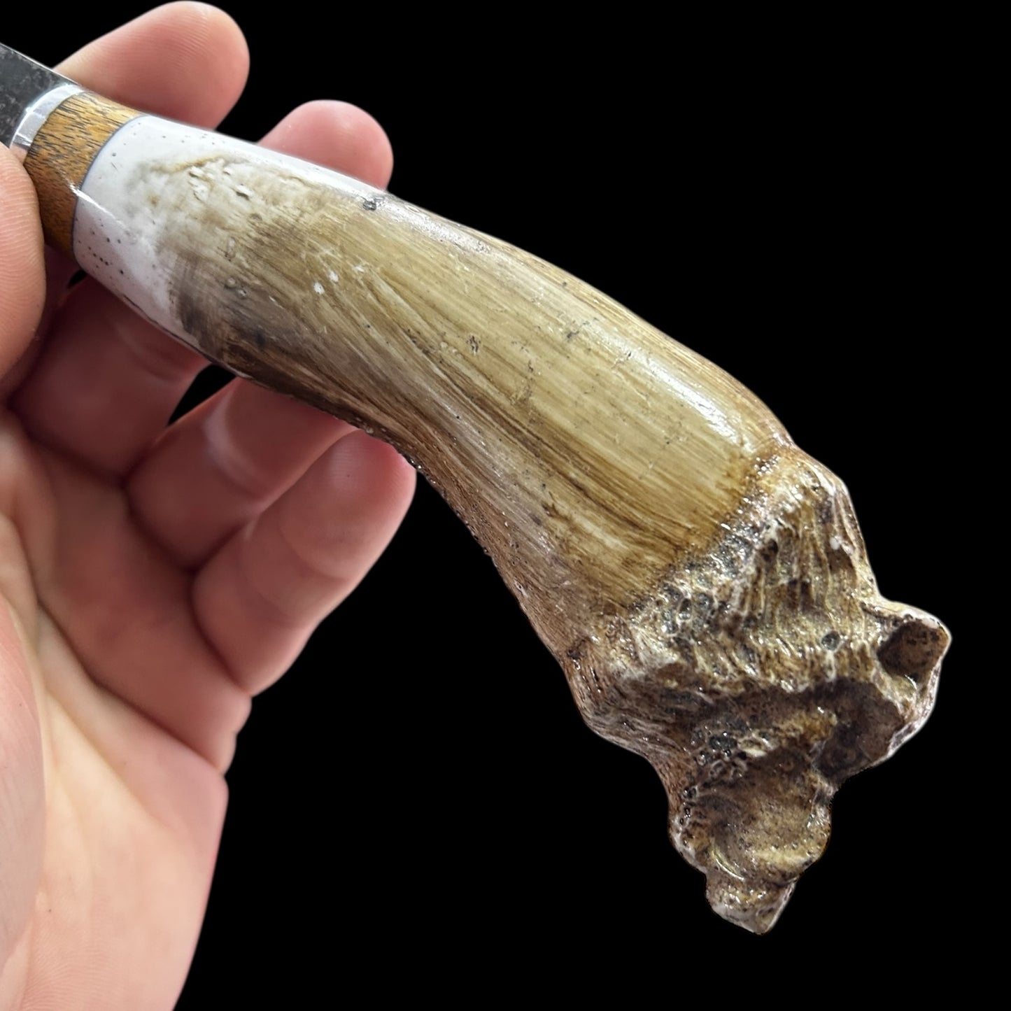 Cuchillo mango Cabeza Jabali