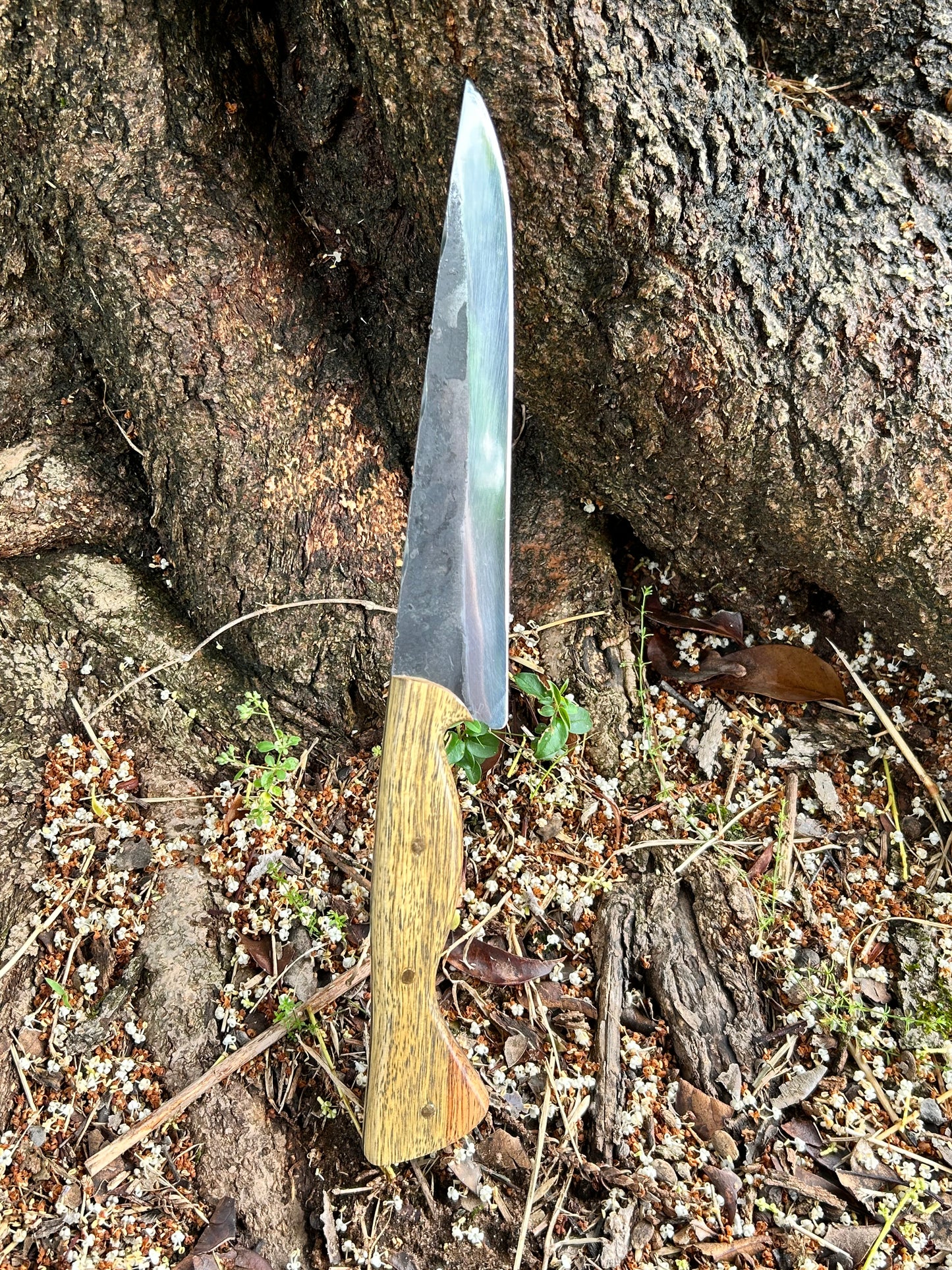 Full Tang Madera Premium