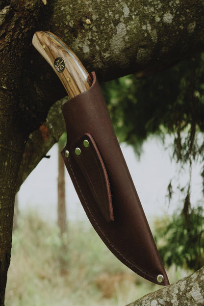 Coreadera Cimarron Uruguayo