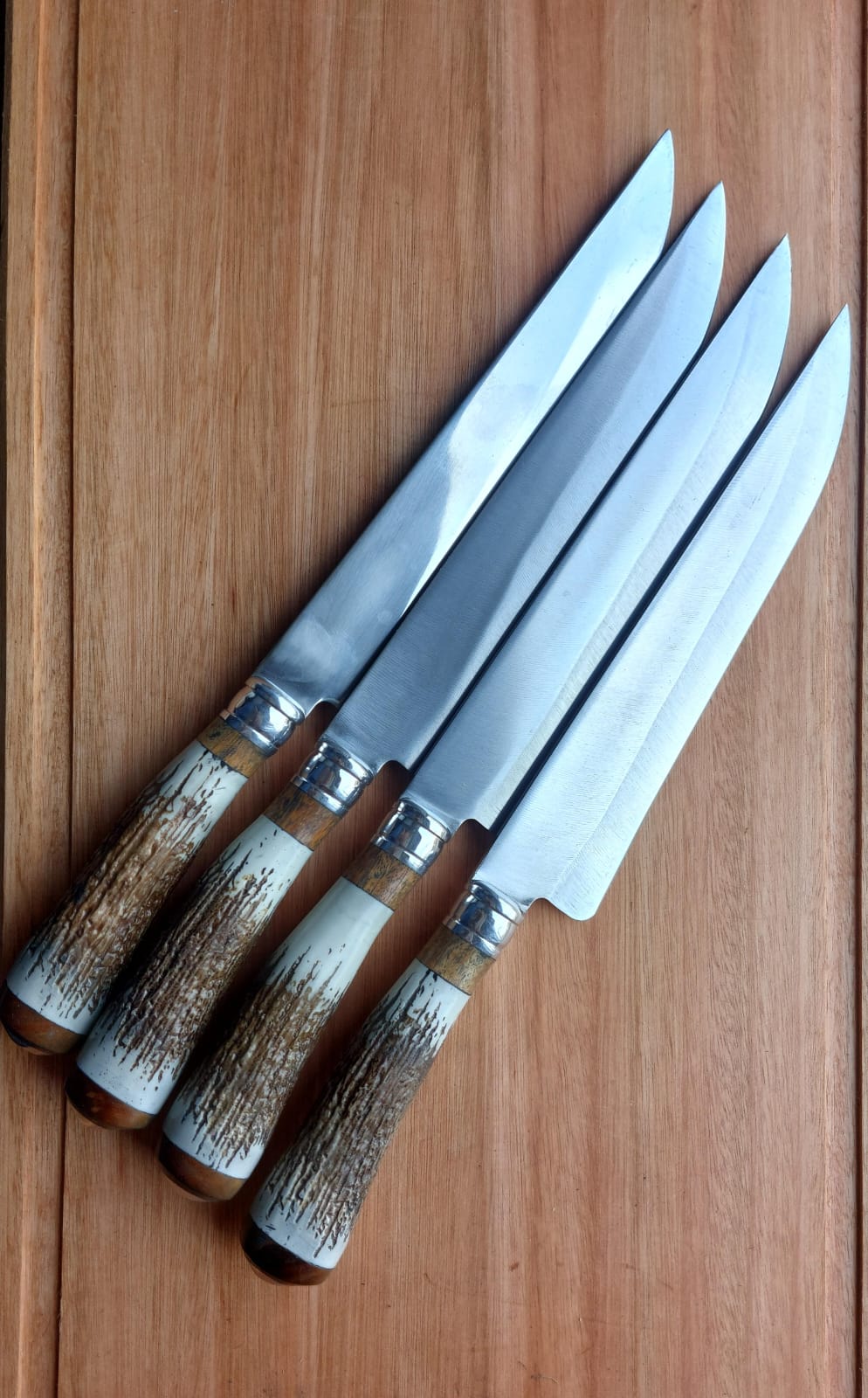 Criollo Ciervo Premium