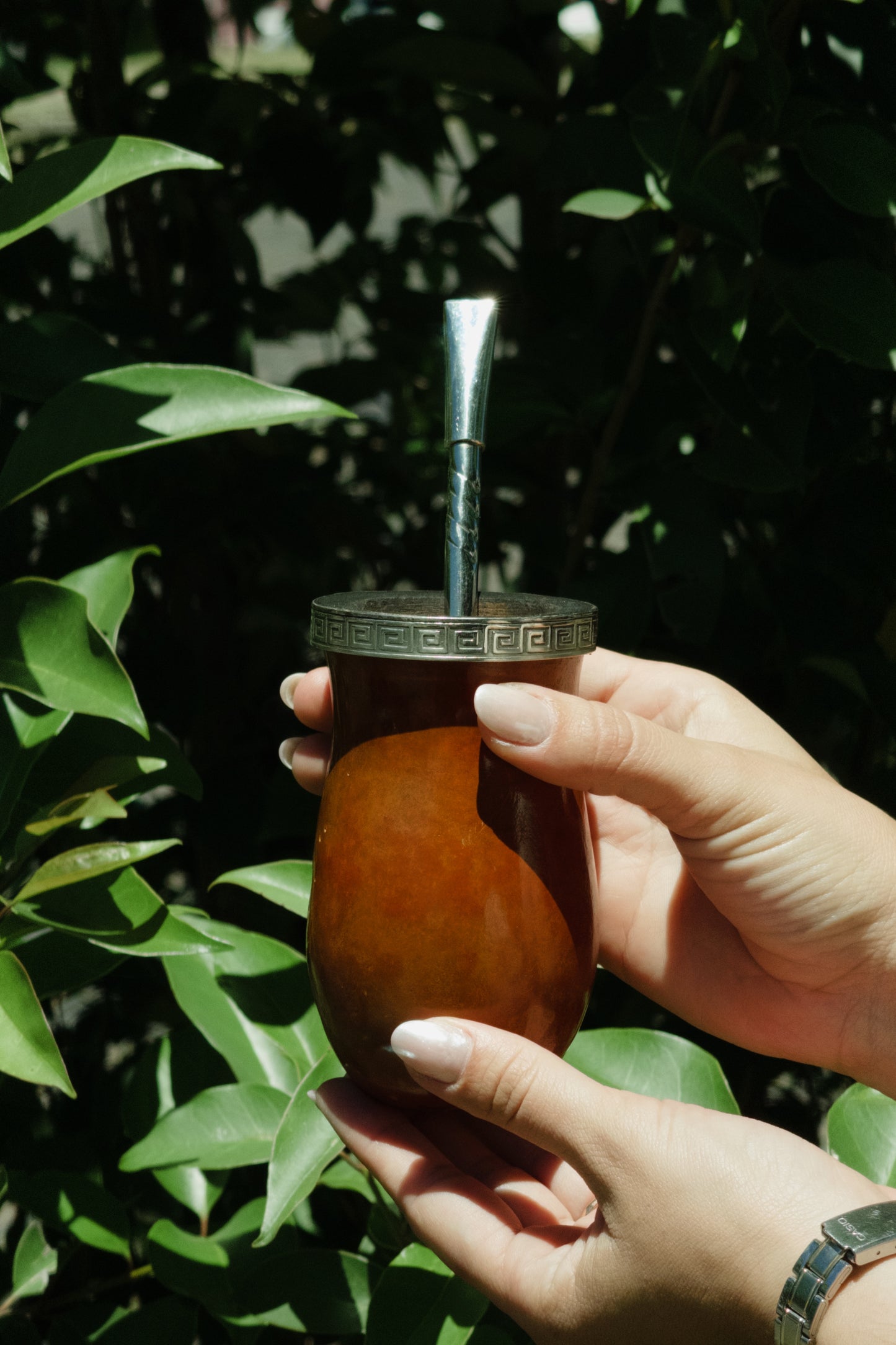 Bago de Toro con boquilla en alpaca y bronce.