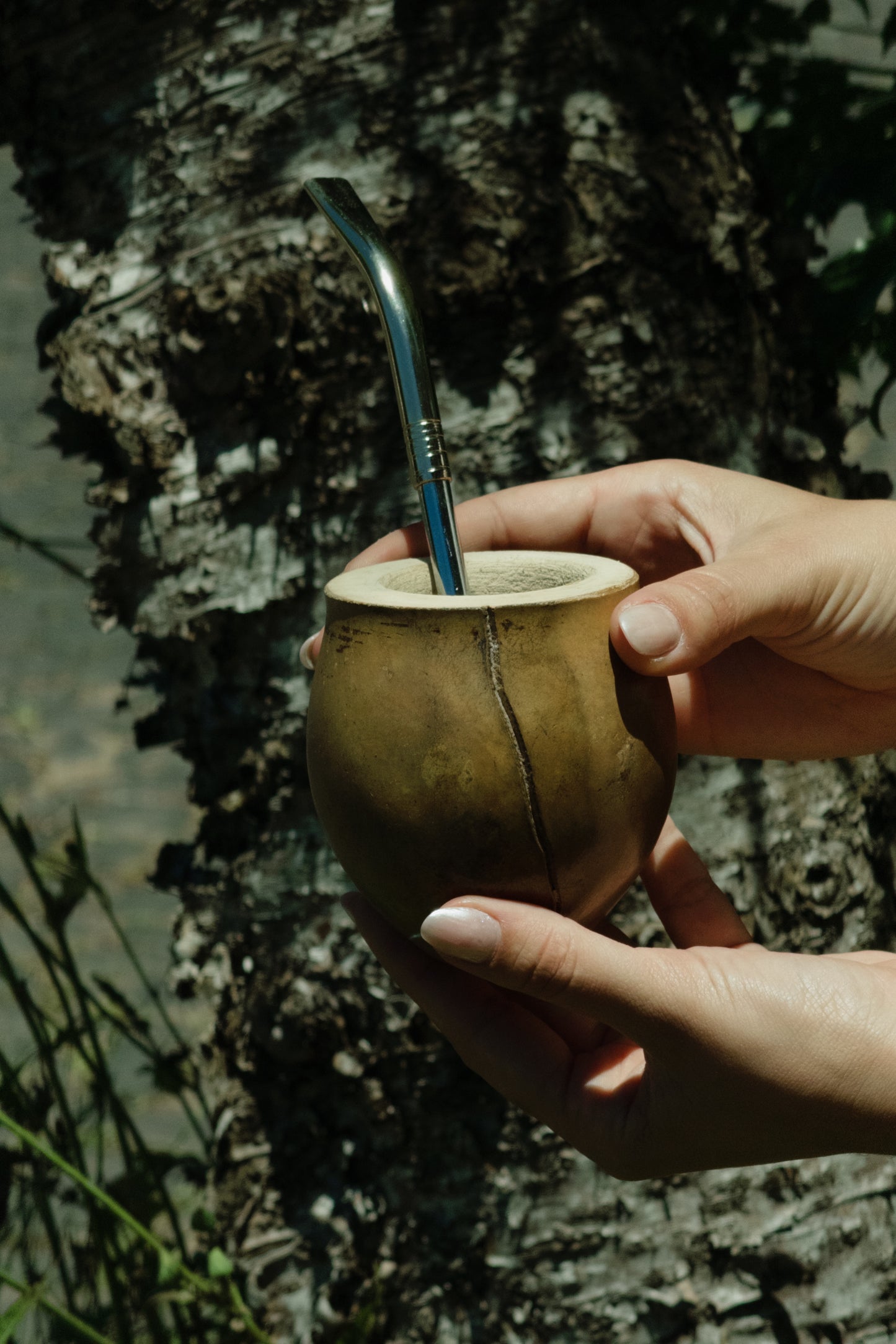 Mate Calabaza Rustico