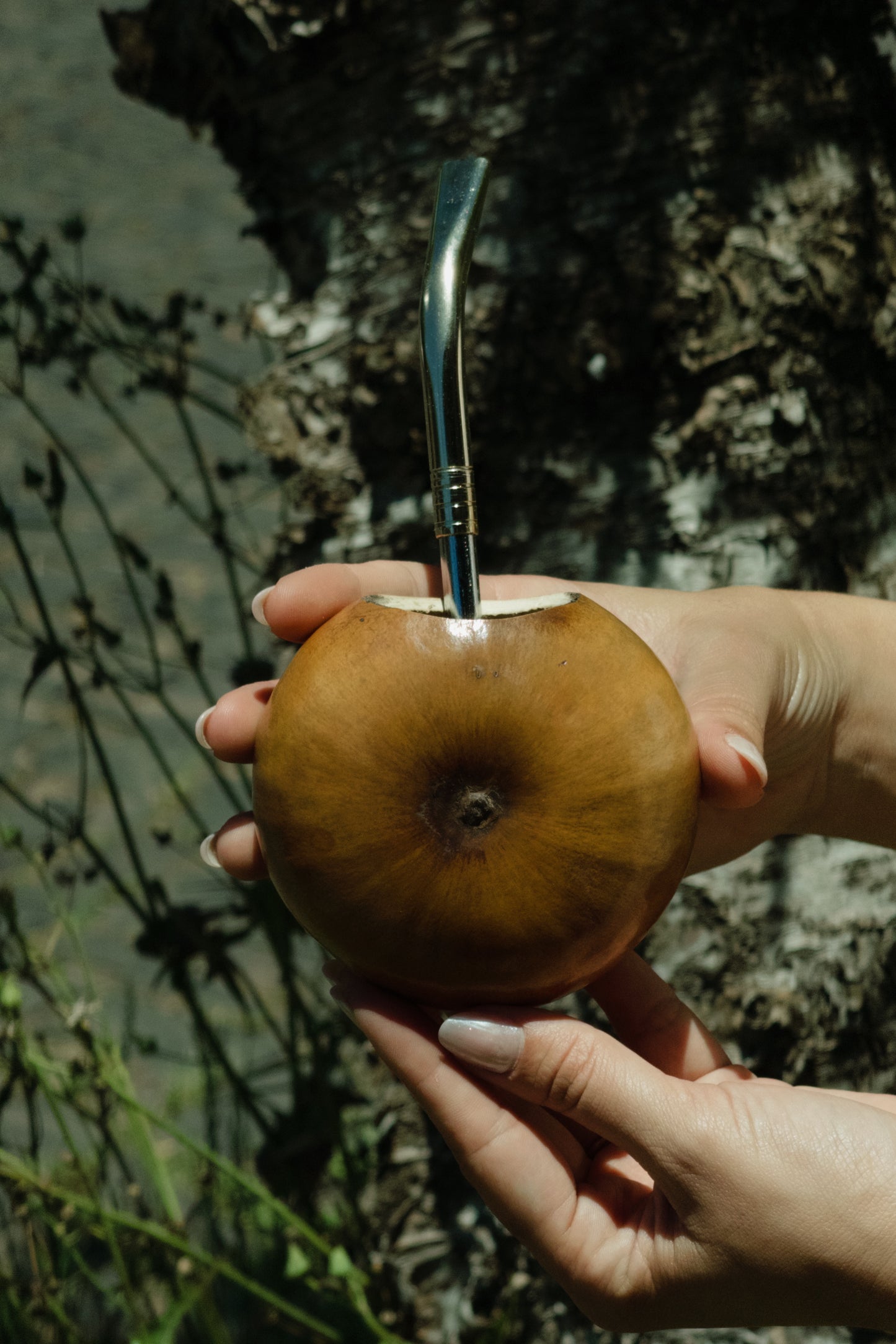 Mate Galleta Rustico