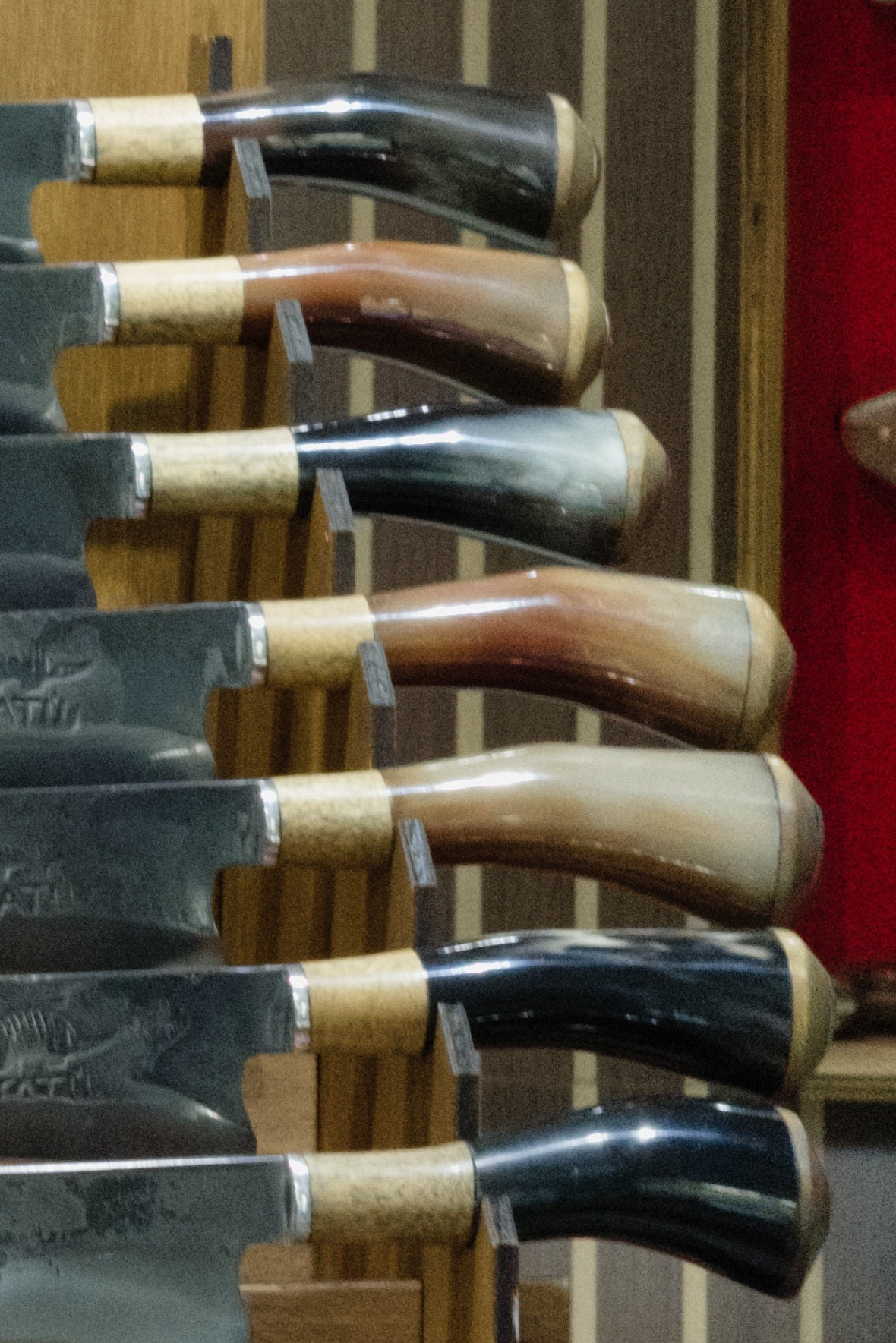 Criollo Guampa Acero Carbono Tatú