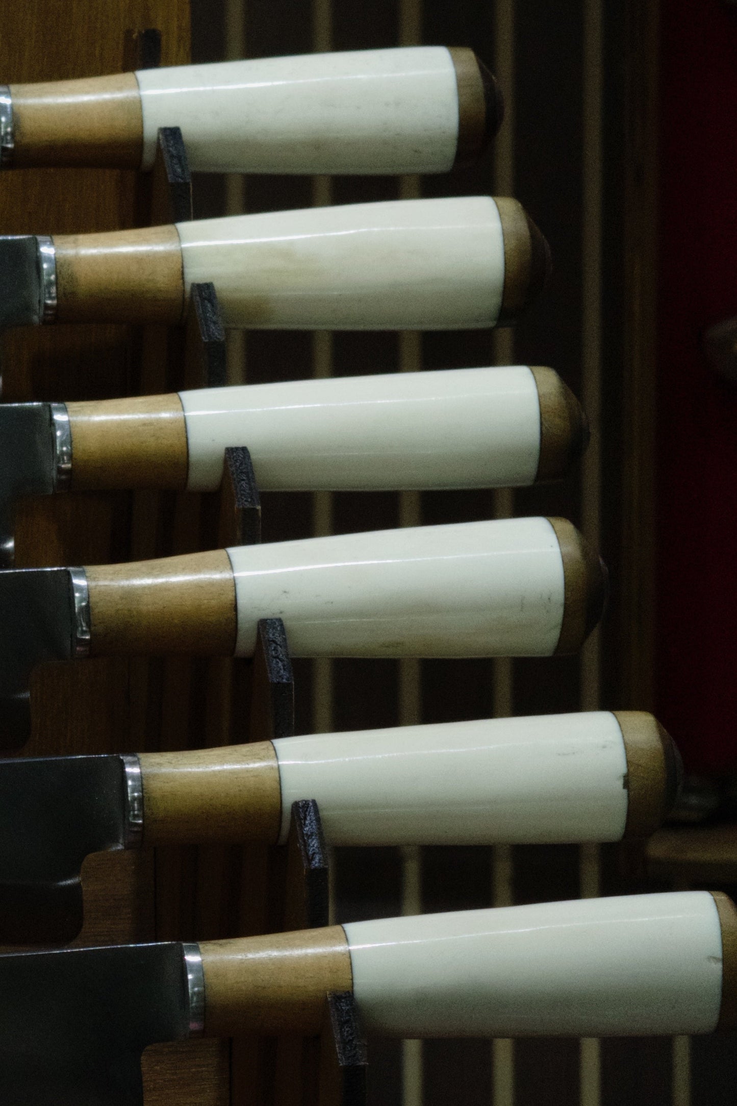 Criollo + Caja con Tridente Gratis